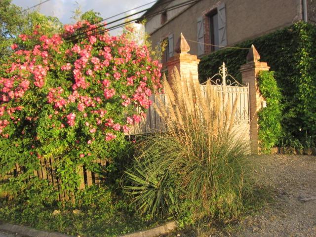 La Demeure De La Coste Bed and Breakfast Vieux  Exterior foto